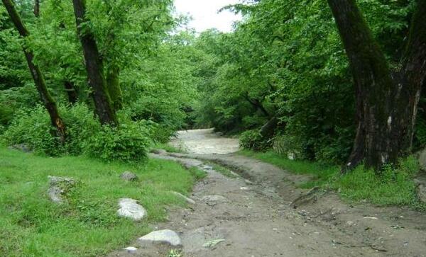 عکس تنگه چهل چای