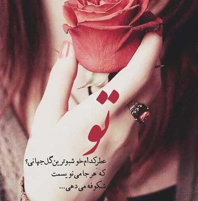 عکس گلهای زیبا برا پروفایل