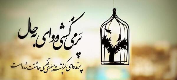 عکس مفهومی قفس