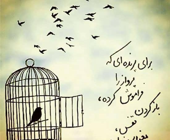 عکس مفهومی قفس