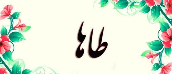 عکس نوشته پوشاک طاها