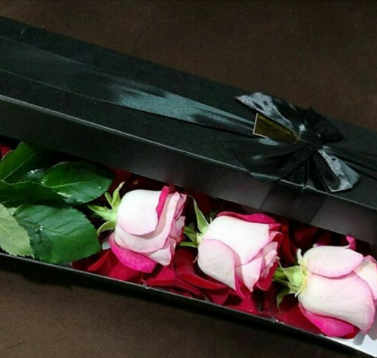 عکس گل رز هدیه