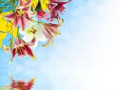عکس بهار عمودی