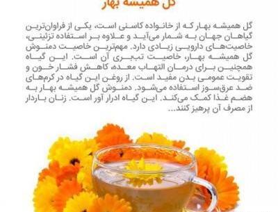عکس نوشته گل همیشه بهار