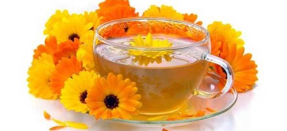 عکس نوشته گل همیشه بهار