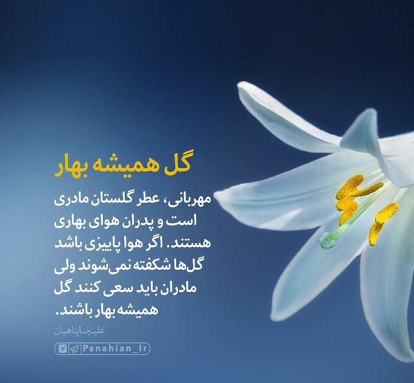عکس نوشته گل همیشه بهار
