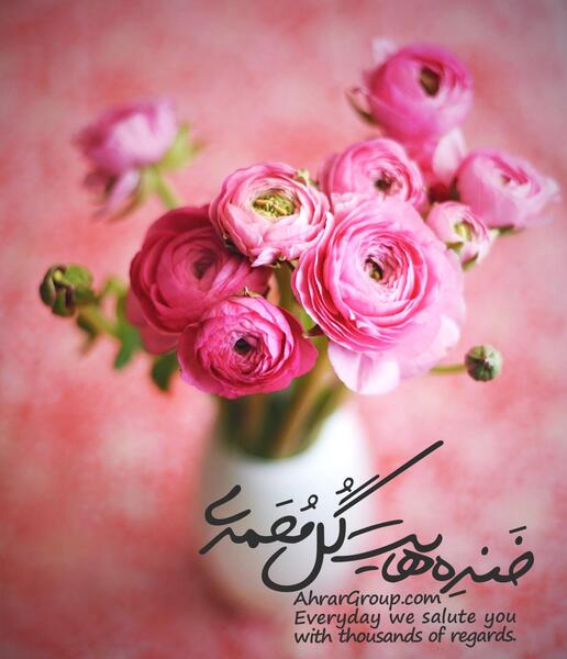 عکس امیرمحمد گل محمدی