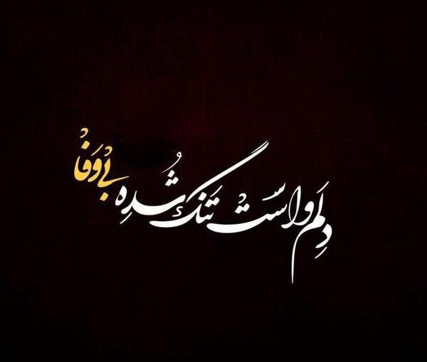 عکس نوشته آرزو نمیکنم که برگردی
