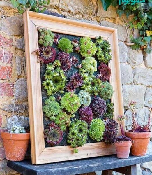 عکس ایده گلخانه ای