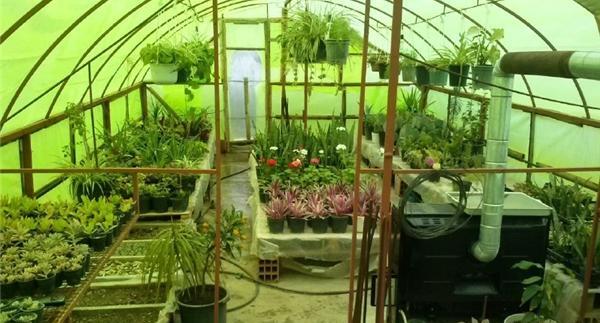 عکس ایده گلخانه ای