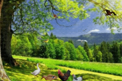 عکس منظره متحرک زیبا
