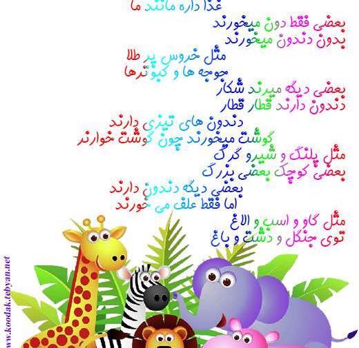عکس غذا حیوانات