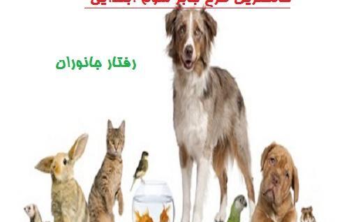 عکس طرح جابر کلاس دوم