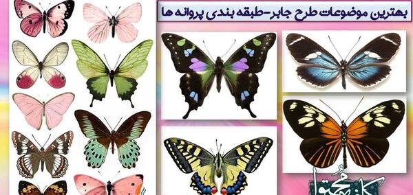 عکس طرح جابر کلاس دوم