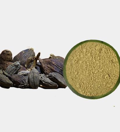 عکس هلیله سیاه