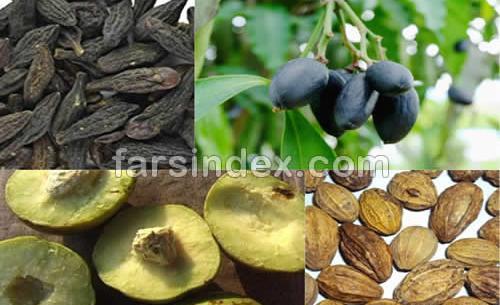 عکس هلیله سیاه