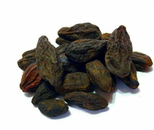 عکس هلیله سیاه