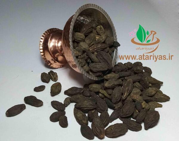 عکس هلیله سیاه