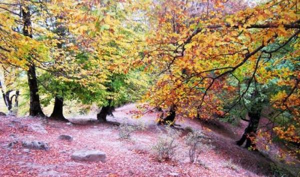 عکس تصاویر زیبای طبیعت سوادکوه