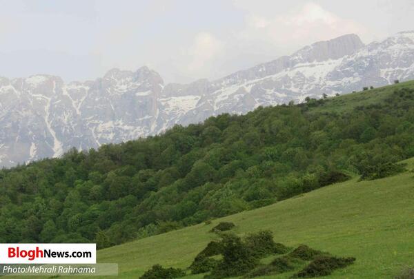 عکس تصاویر زیبای طبیعت سوادکوه