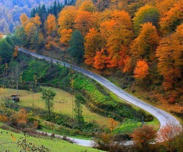 عکس تصاویر زیبای طبیعت سوادکوه