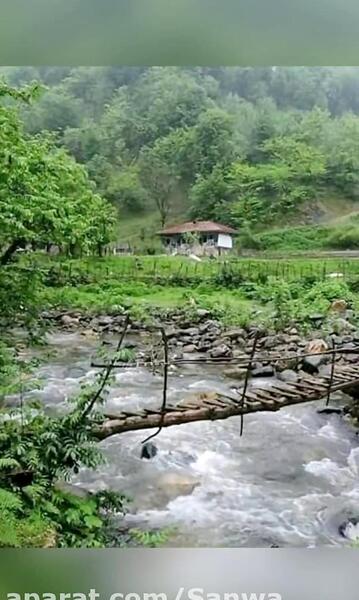 عکس تصاویر زیبای طبیعت سوادکوه