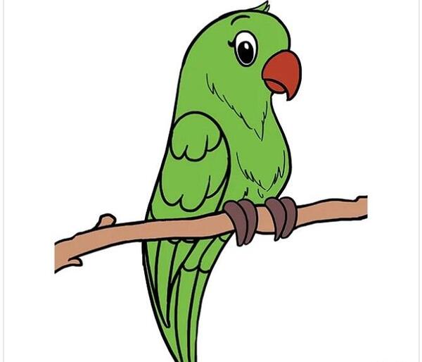 عکس طوطی رنگ شده