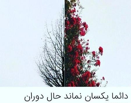 عکس نوشته بهار