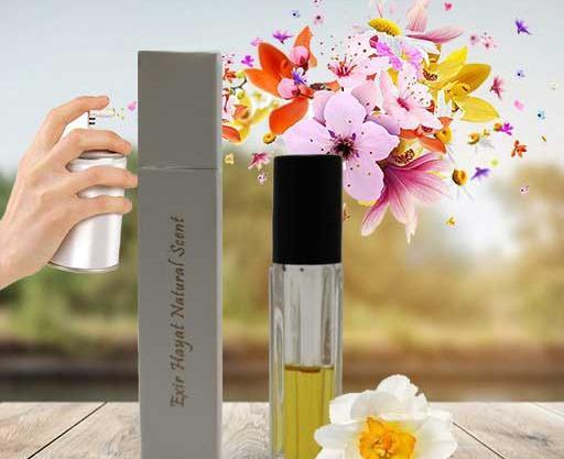 عکس عطر گل نرگس