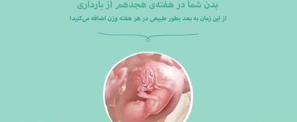عکس جنین پسر هجده هفته