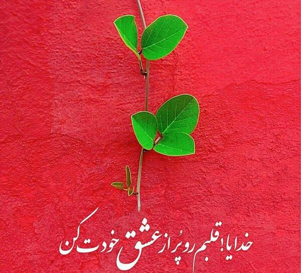 عکس نوشته تنها قلب زیباست که زیبا خواهد ماند