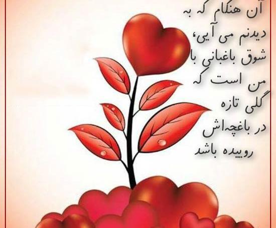 عکس نوشته تنها قلب زیباست که زیبا خواهد ماند