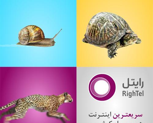 عکس لاک پشت و حلزون