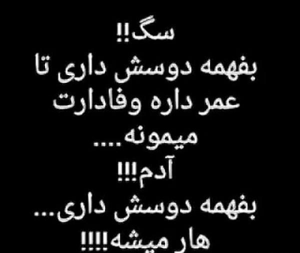 عکس نوشته قربان وفای سگ
