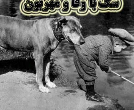 عکس نوشته قربان وفای سگ