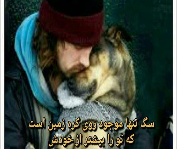 عکس نوشته قربان وفای سگ