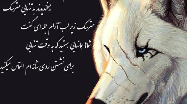 عکس گرگ لاتی