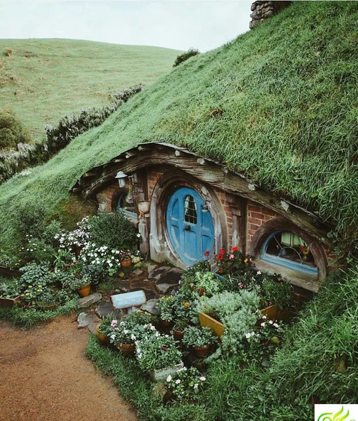 عکس طبیعت برای پروفایل گروه