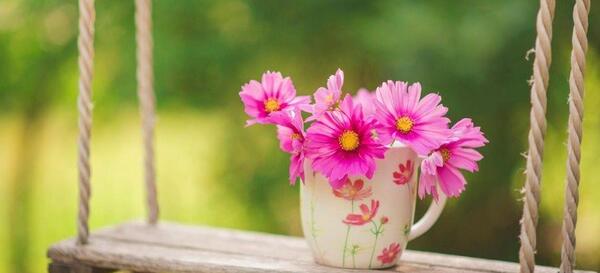 عکس طبیعت برای پروفایل گروه