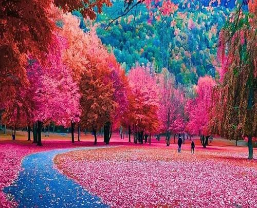 عکس های زیبا برای پروفایل طبیعت