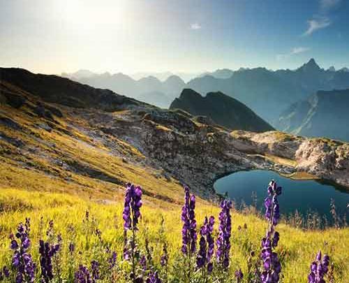 عکسهای زیبای طبیعت اوکراین