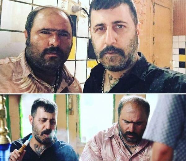 عکس گاو جاناتان