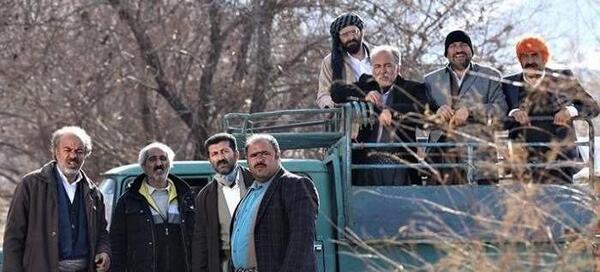 عکس گاو جاناتان
