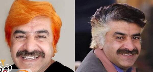عکس گاو جاناتان