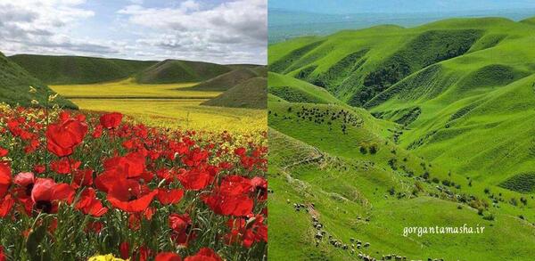 عکس روستای خالد نبی