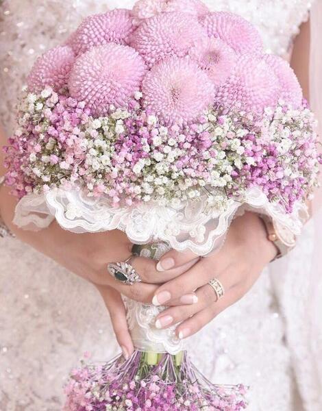 عکس شکوفه عروس