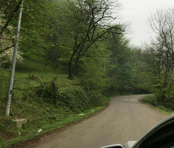 عکس طبیعت بهاری شمال