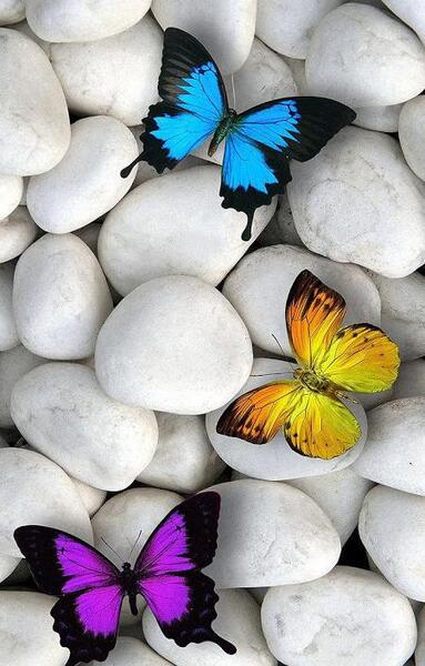 عکس تصویر زمینه حرکتی