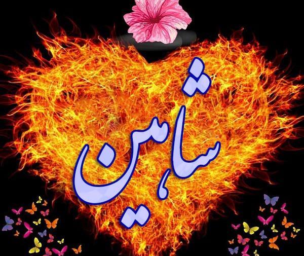 عکس نوشته شده شاهین