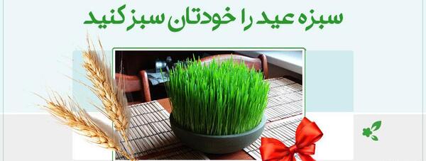عکس سبزه عید امسال